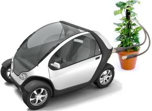 car-plant-energy